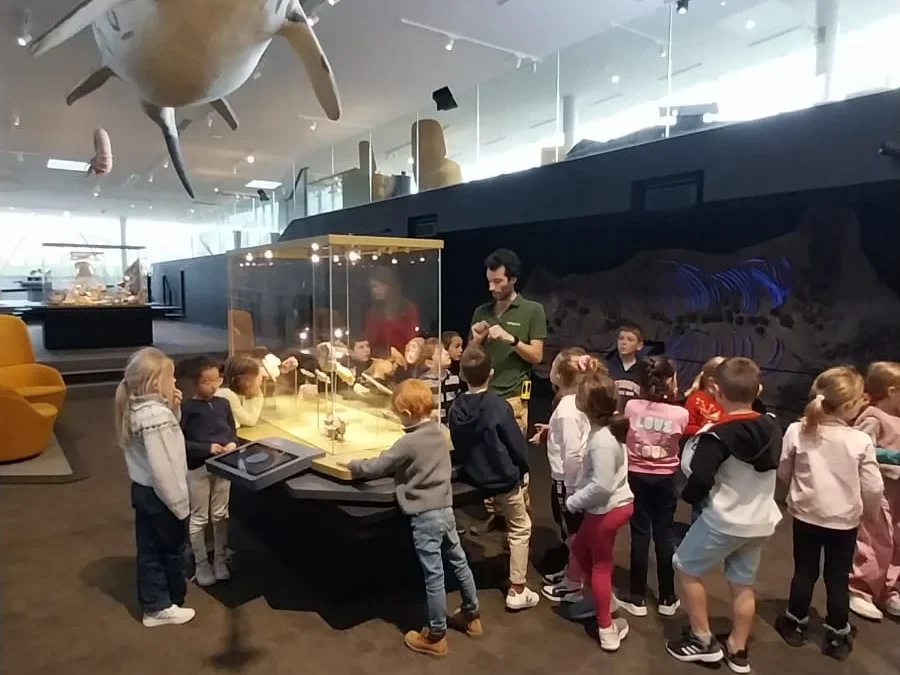 Sortie Musée Fossilea et théâtre de Villefranche